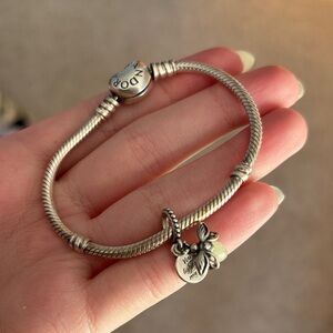 Pandora Charm Bracelet